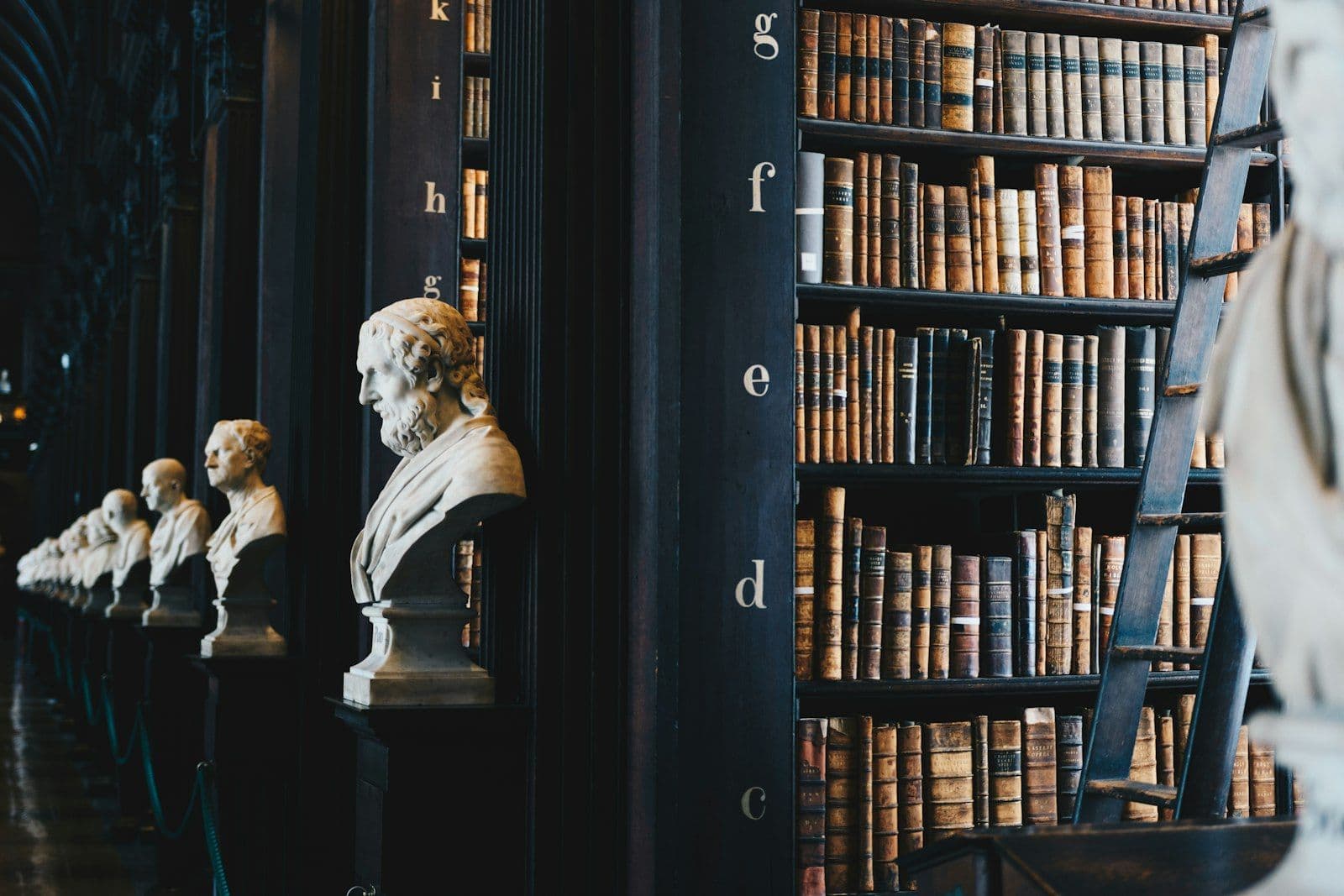The quiet arches of a law library