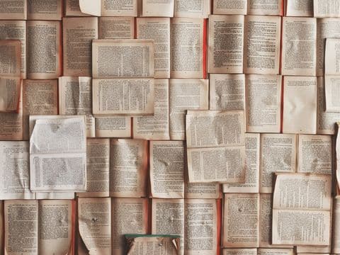 A wall of open law books — procedure in print